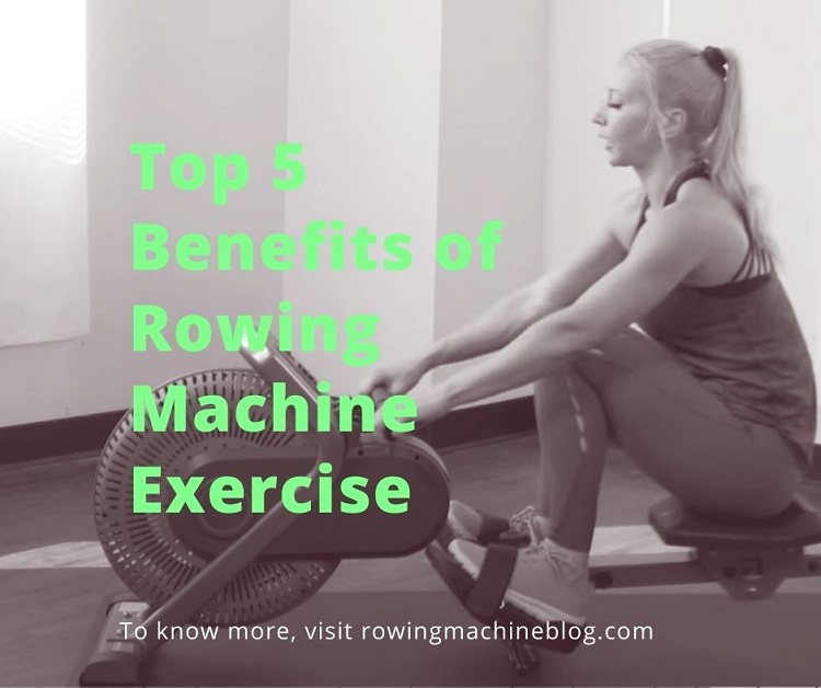 Rowing Machine Exercise Benefits to Improve Your Fitness for Beginners